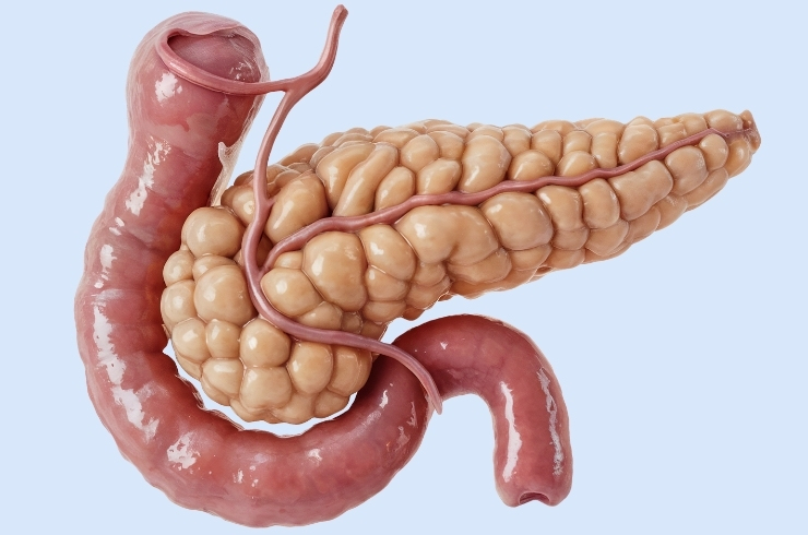 Swastik Surgical & Maternity Centre